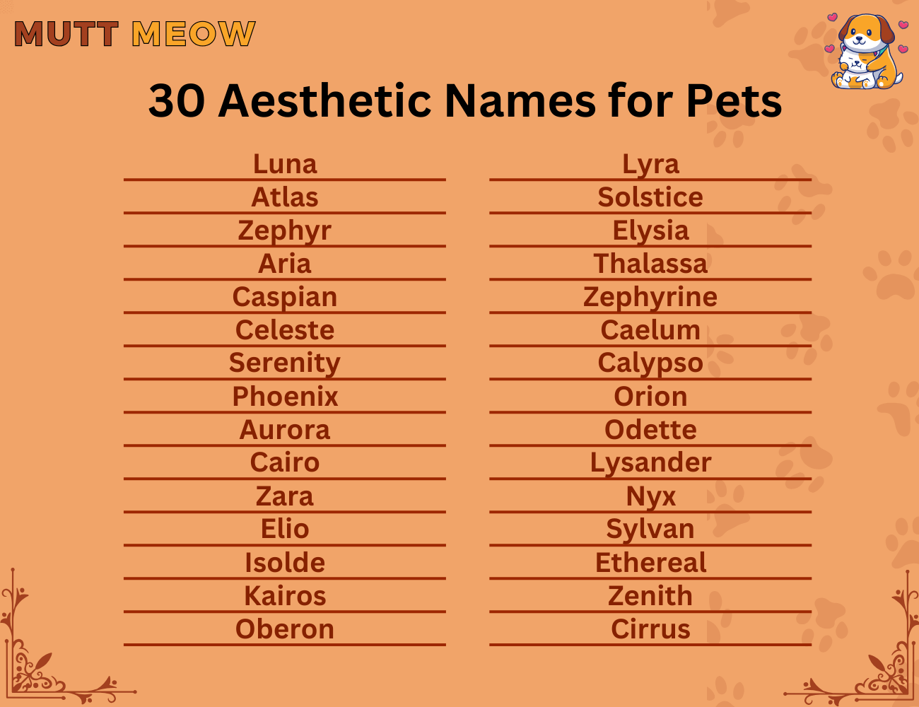 30 Aesthetic Names for Pets