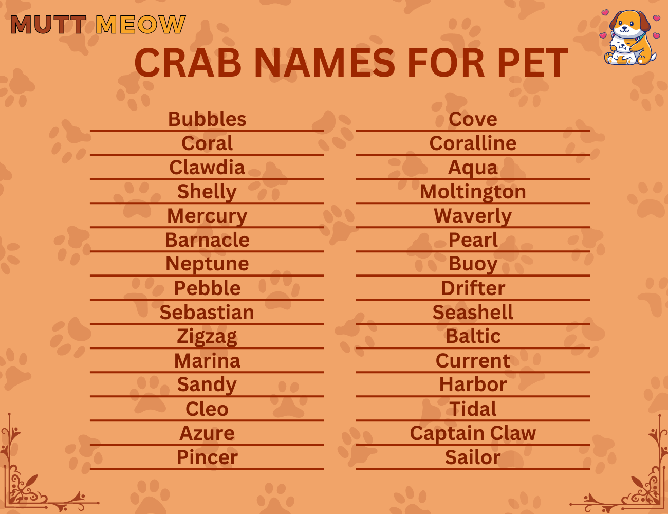 30 Best Crab Names for Pet - Mutt Meow