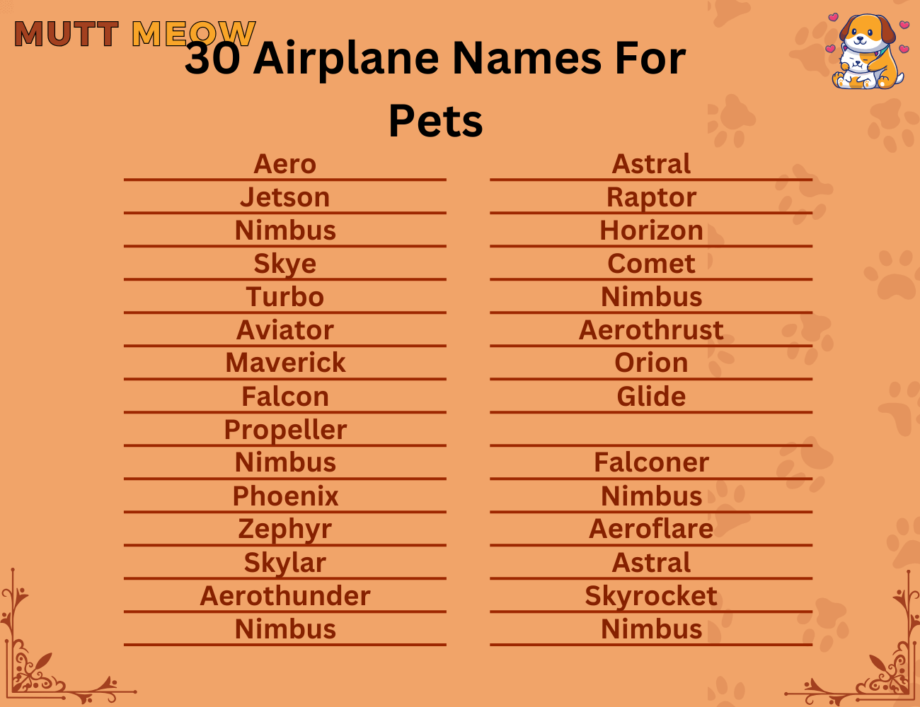 30 Airplane Names For Pets