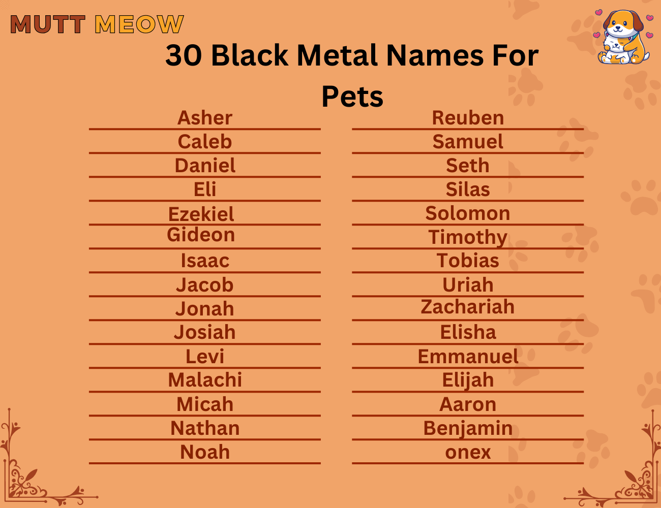 30 Black Metal Names For Pets