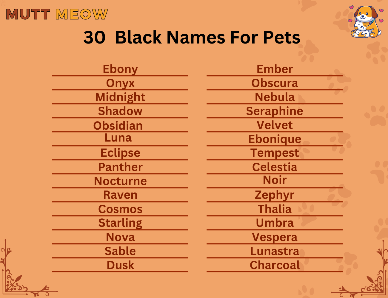 30 Black Names For Pets