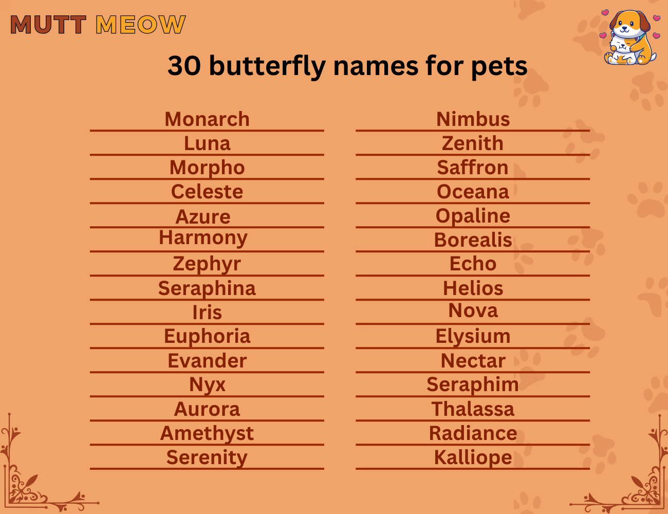 30 butterfly names for pets