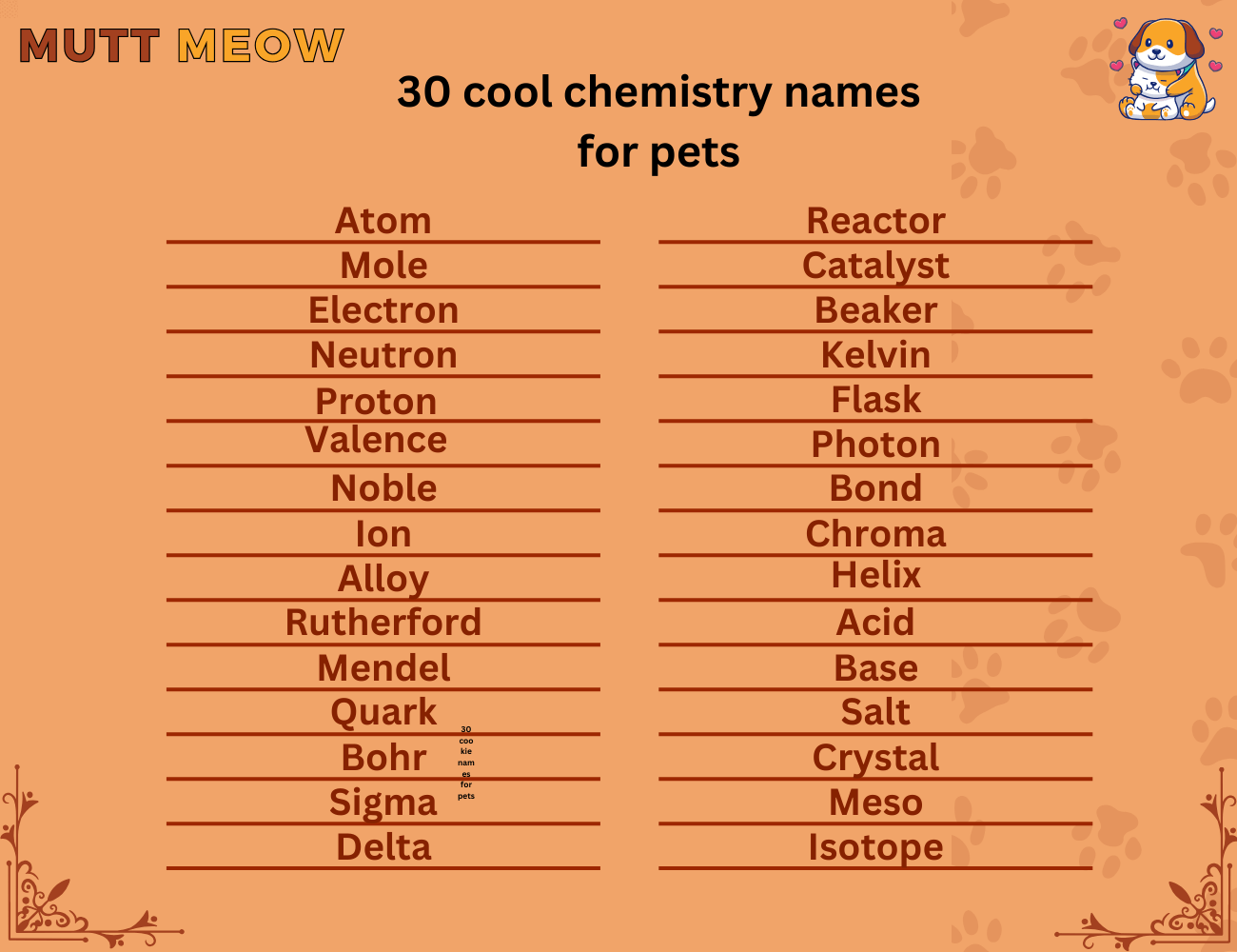 30 cool chemistry names for pets