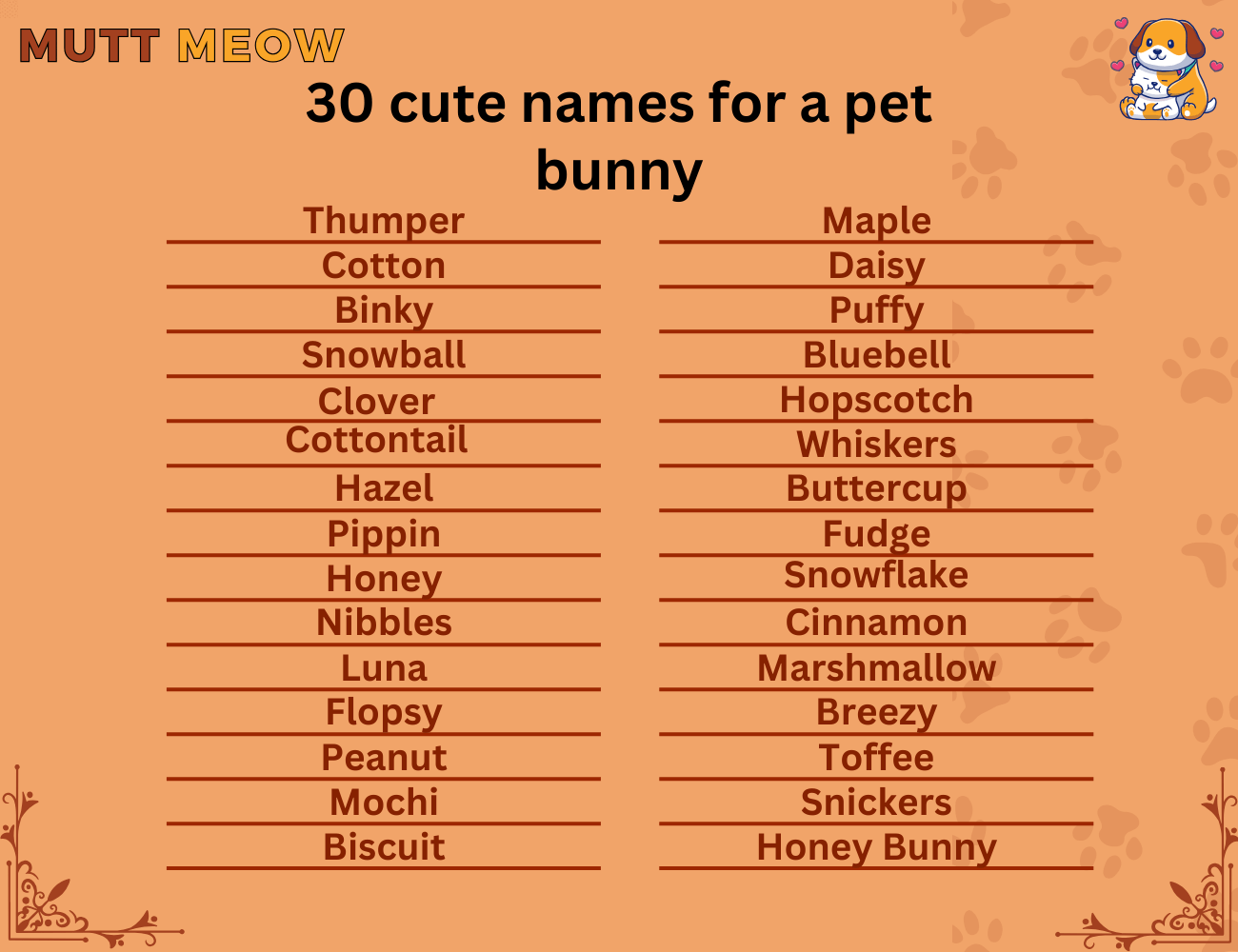 30 cute names for a pet bunny