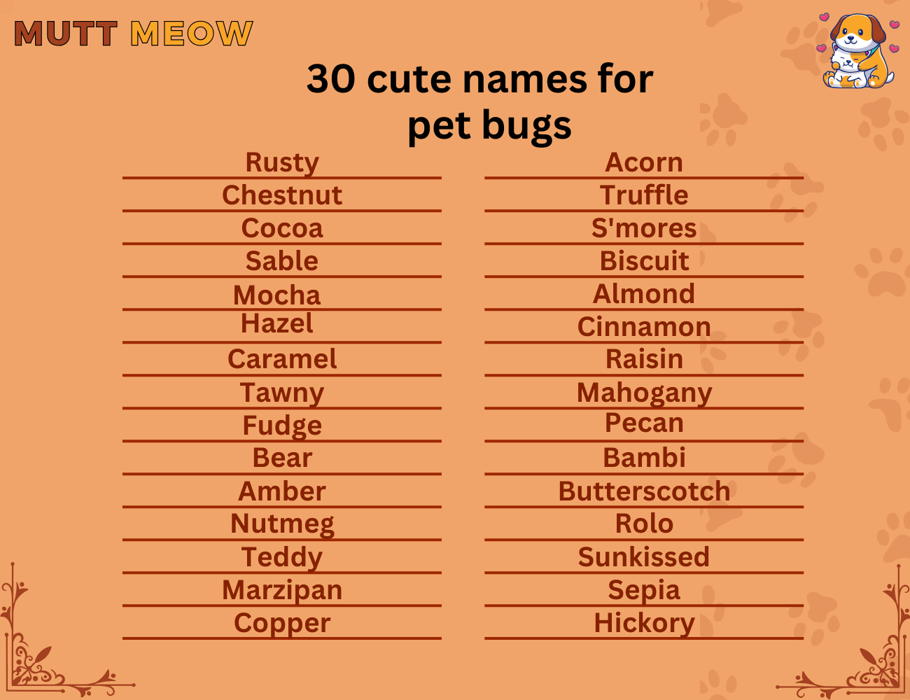 30 cute names for pet bugs