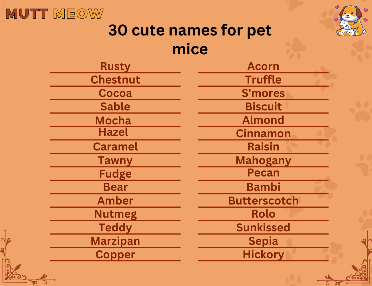 30 cute names for pet mice