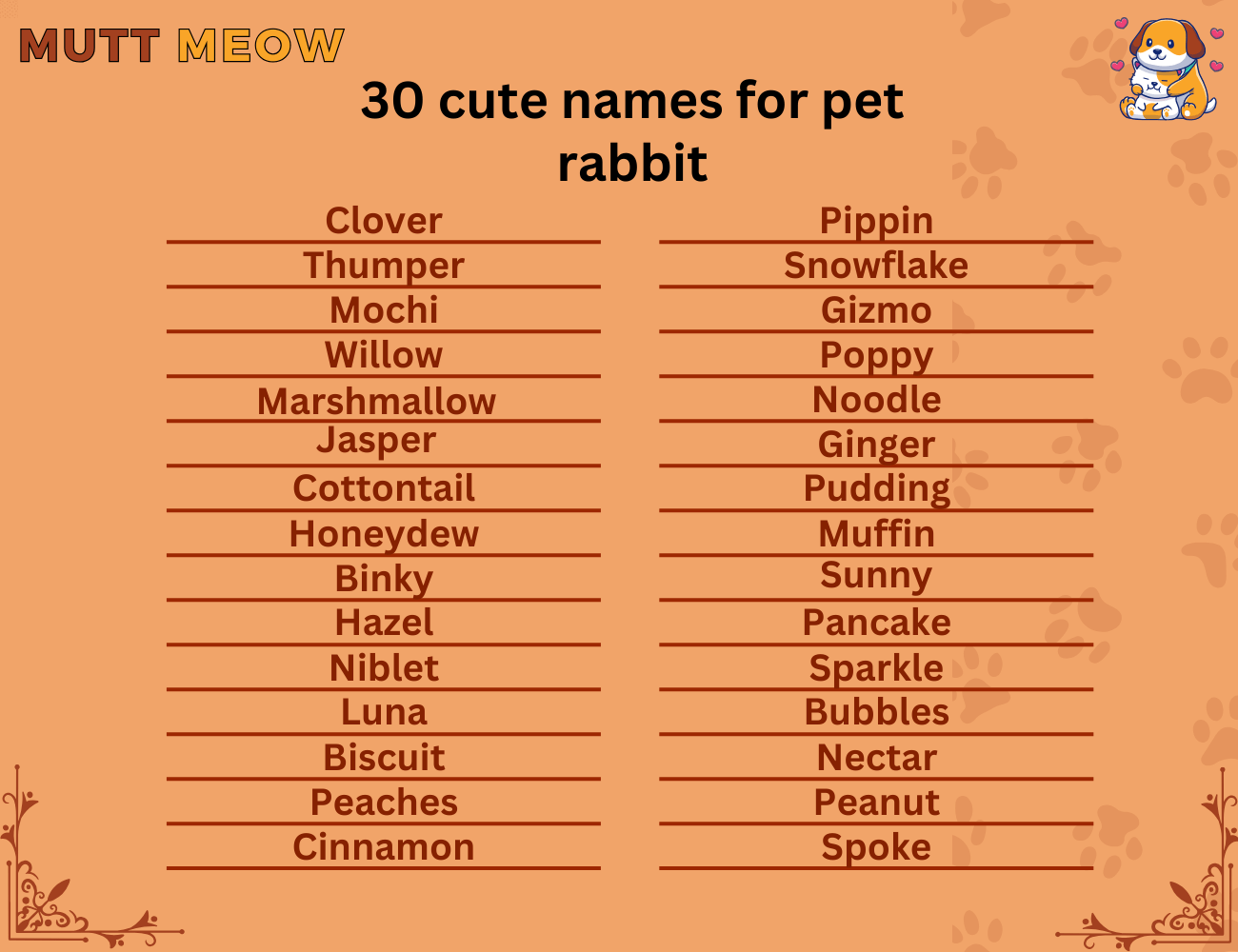 30 cute names for pet rabbit