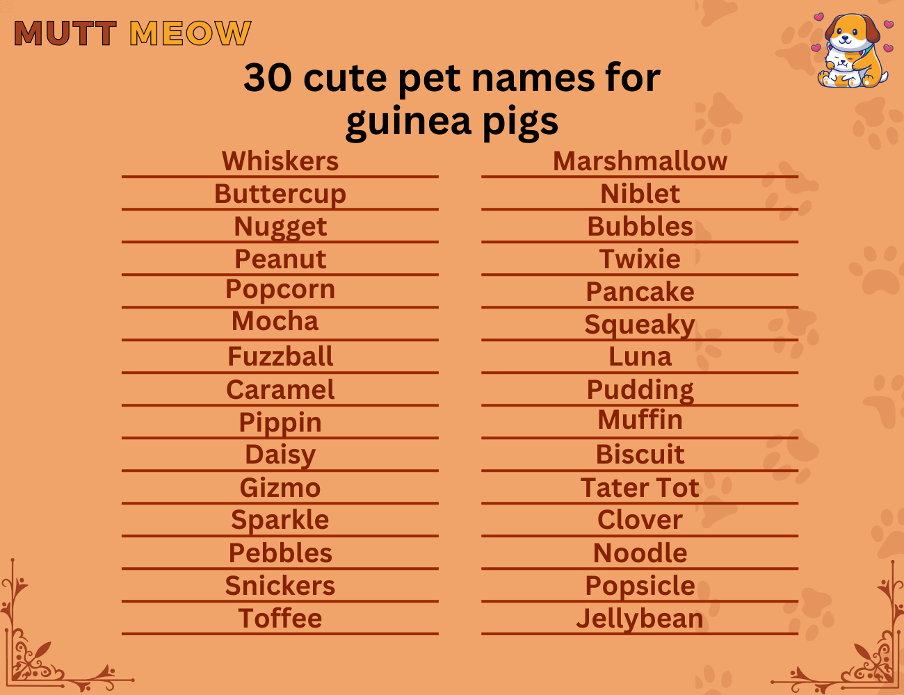 30 cute pet names for guinea pigs