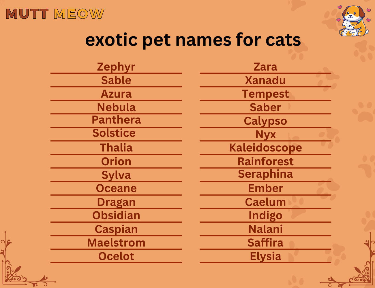 exotic pet names for cats