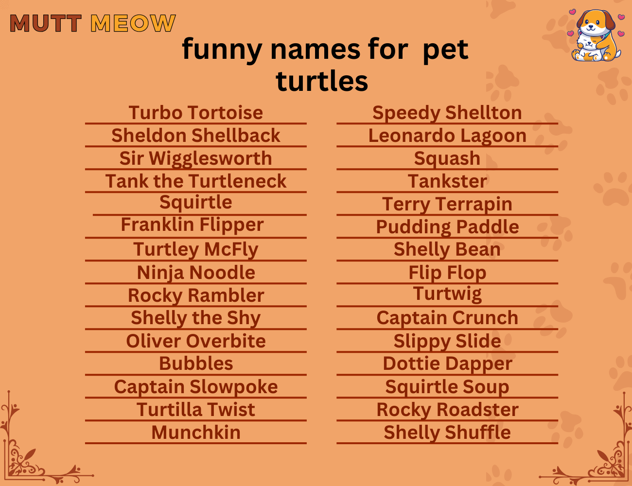 funny names for pet turtles