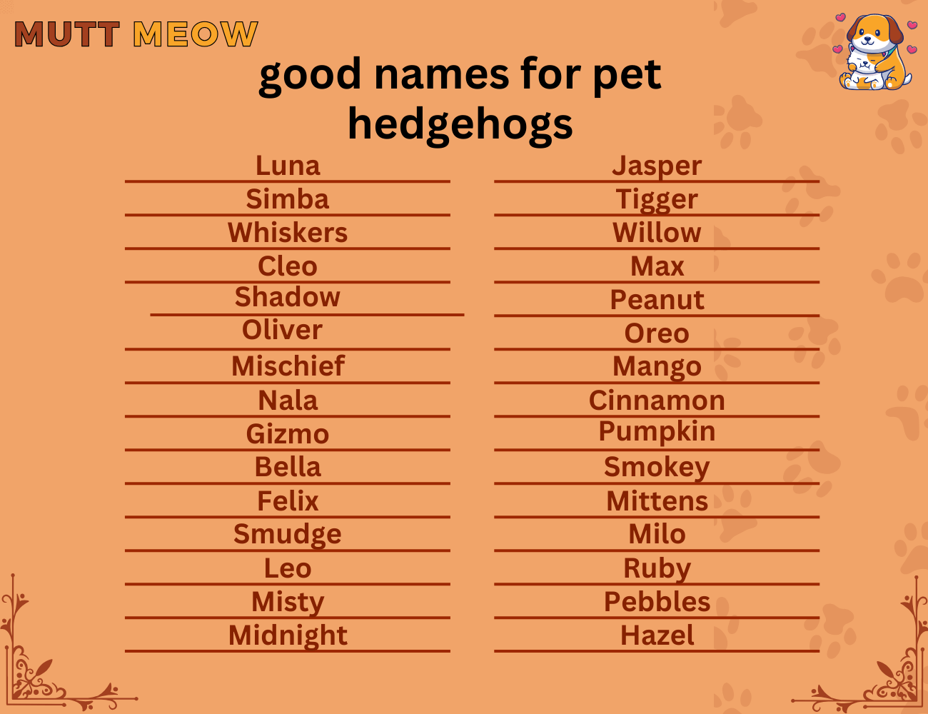 good names for pet hedgehogs