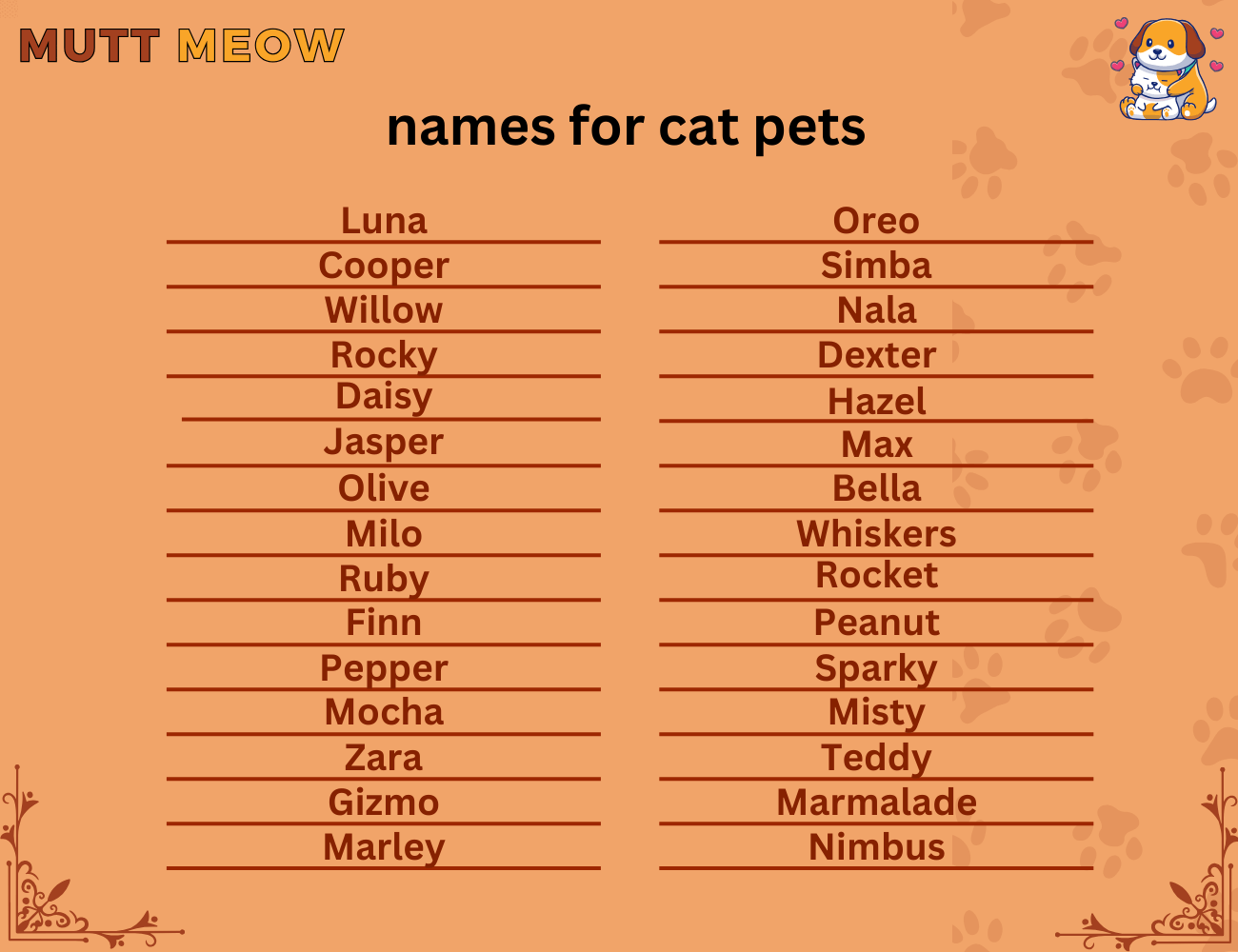 name for cat pet
