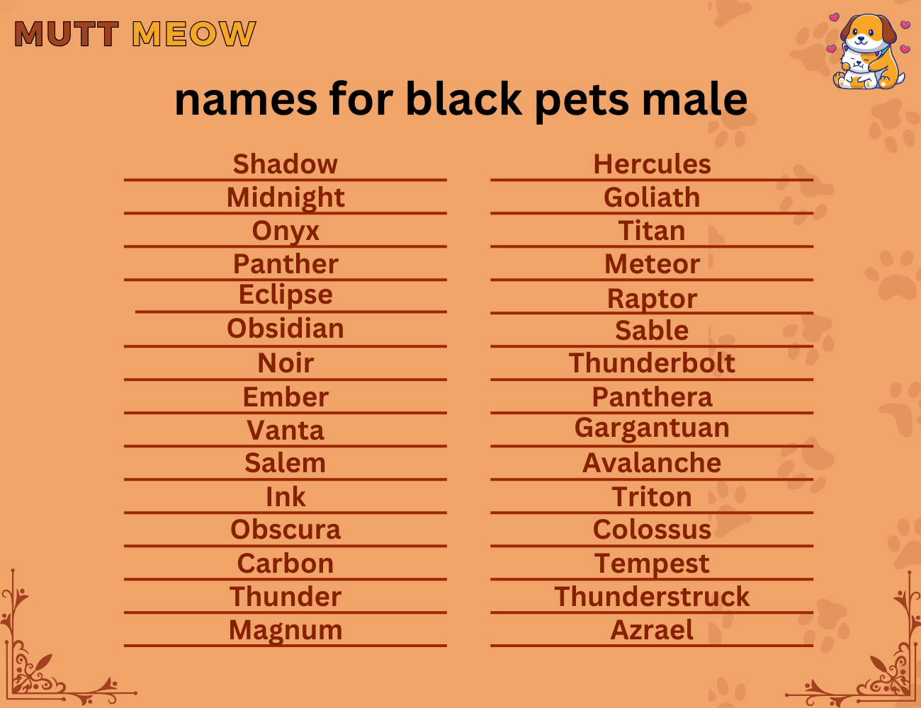 names for black pets male