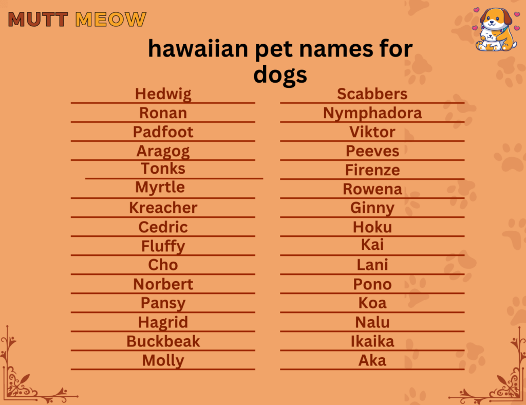 Hawaiian Pet Names For Dogs - Mutt Meow