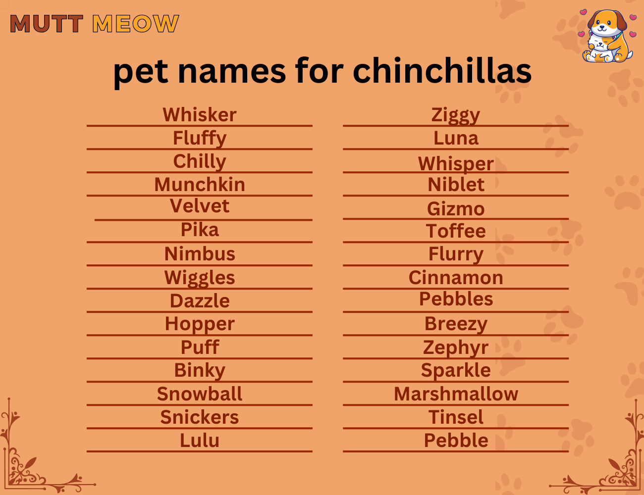 pet names for chinchillas