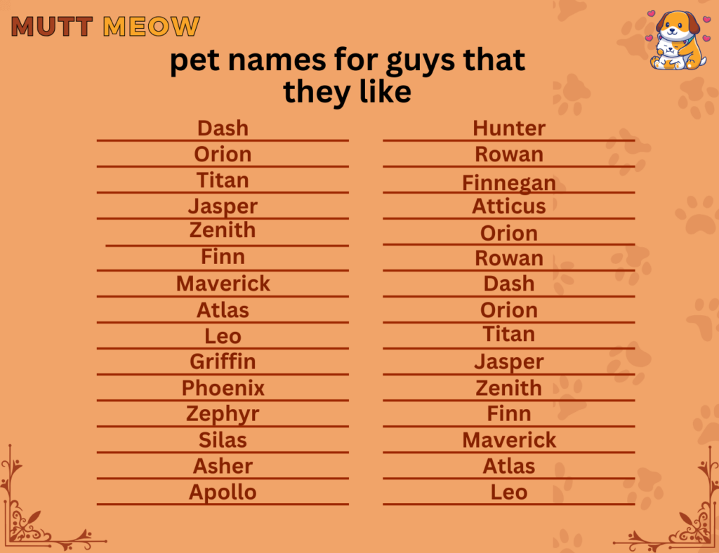 Bulk 1 Pet Names For Guys That They Like 1 1024x788 