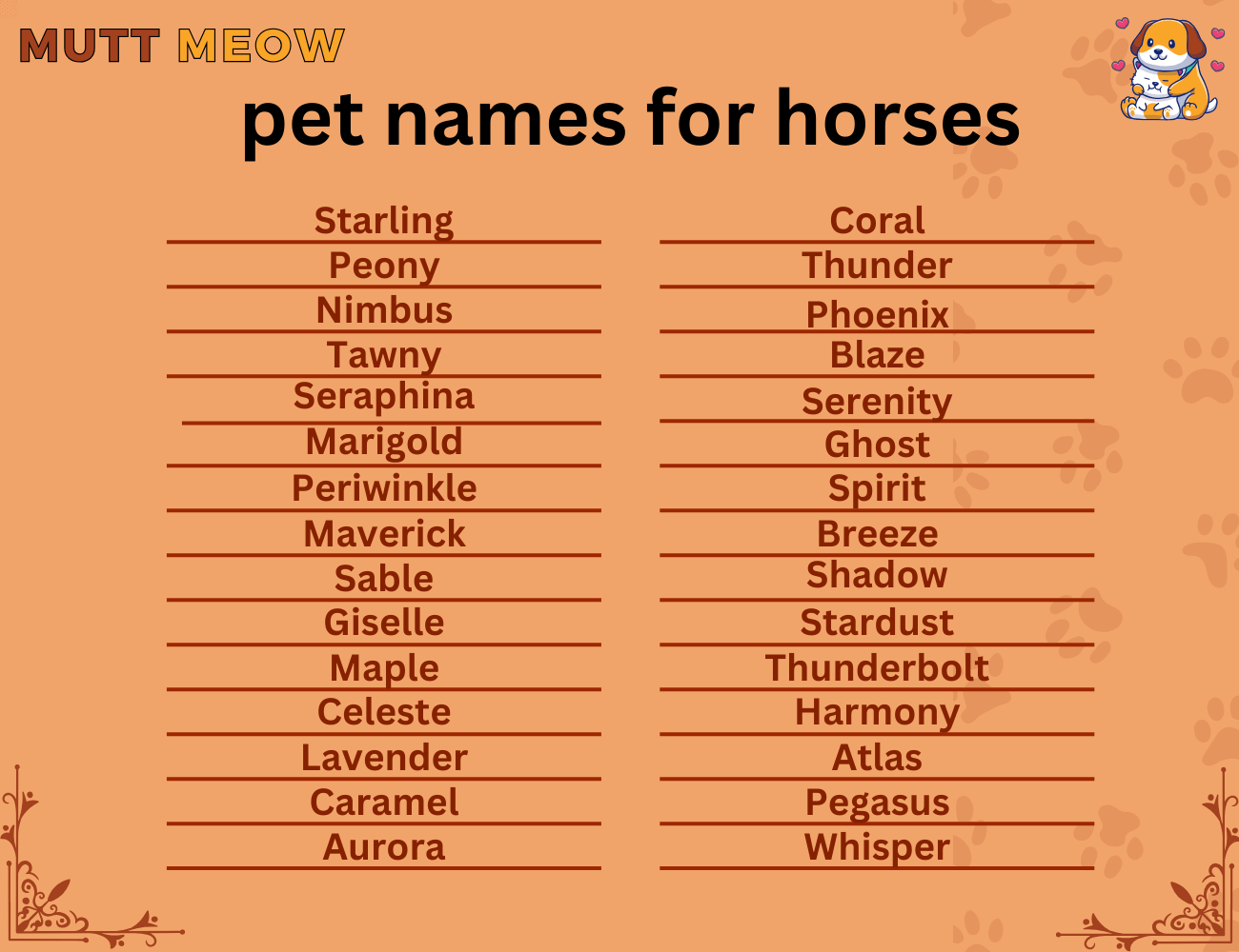 pet names for horses