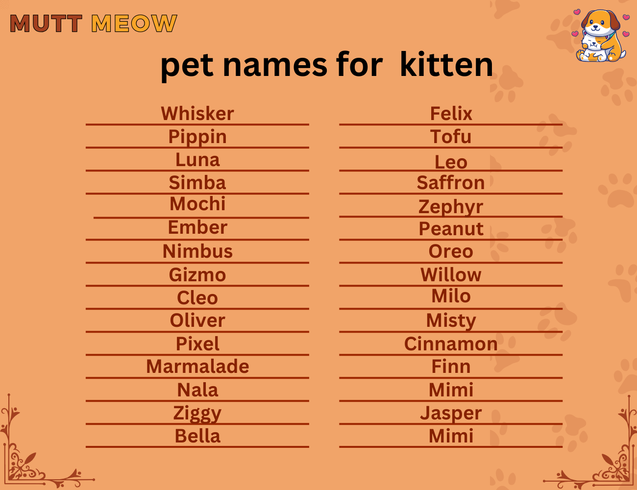 pet names for kitten