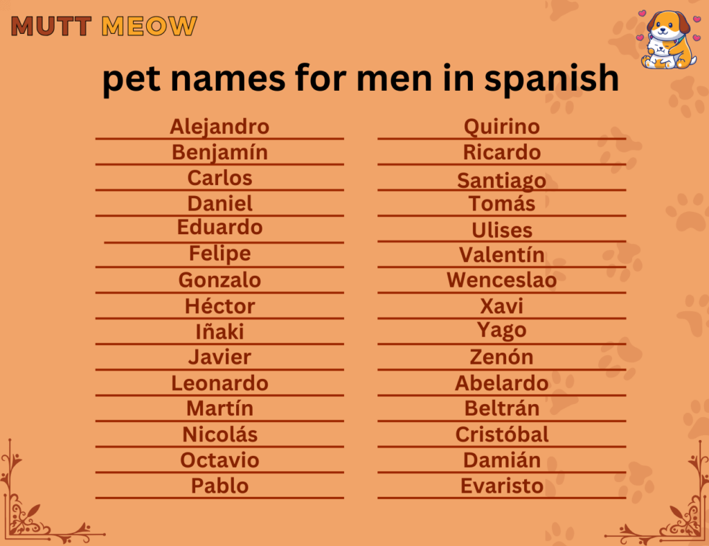 Bulk 1 Pet Names For Men In Spanish 1 1024x788 