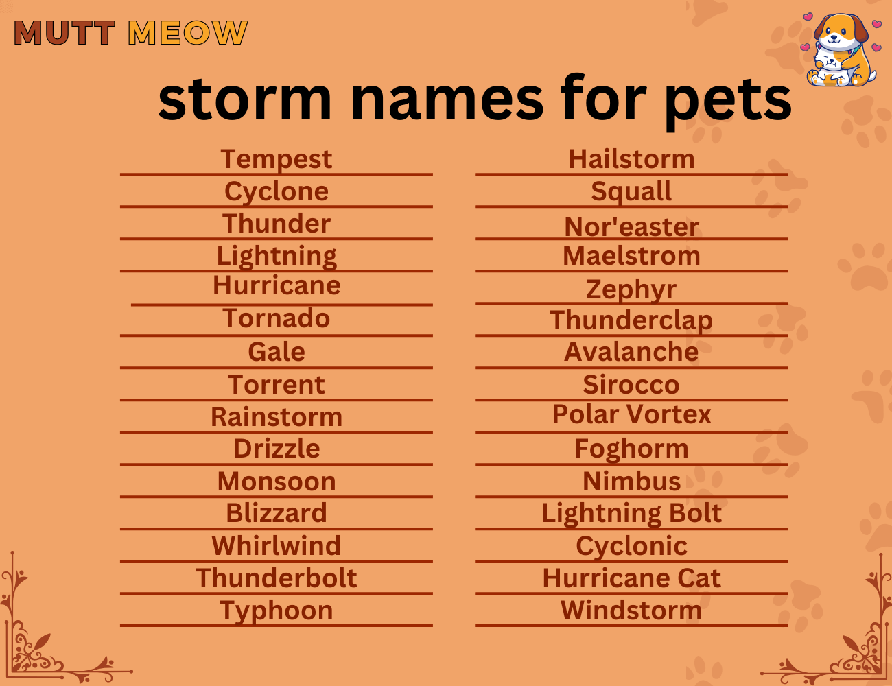 storm names for pets