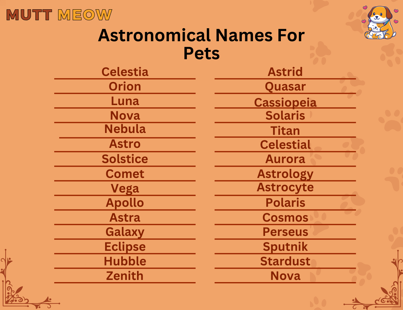 Astronomical Names For Pets