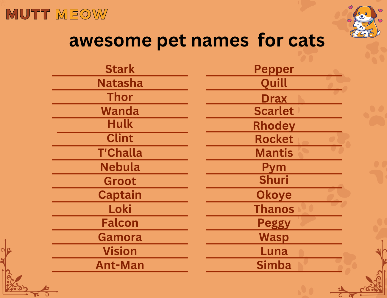 awesome pet names for cats