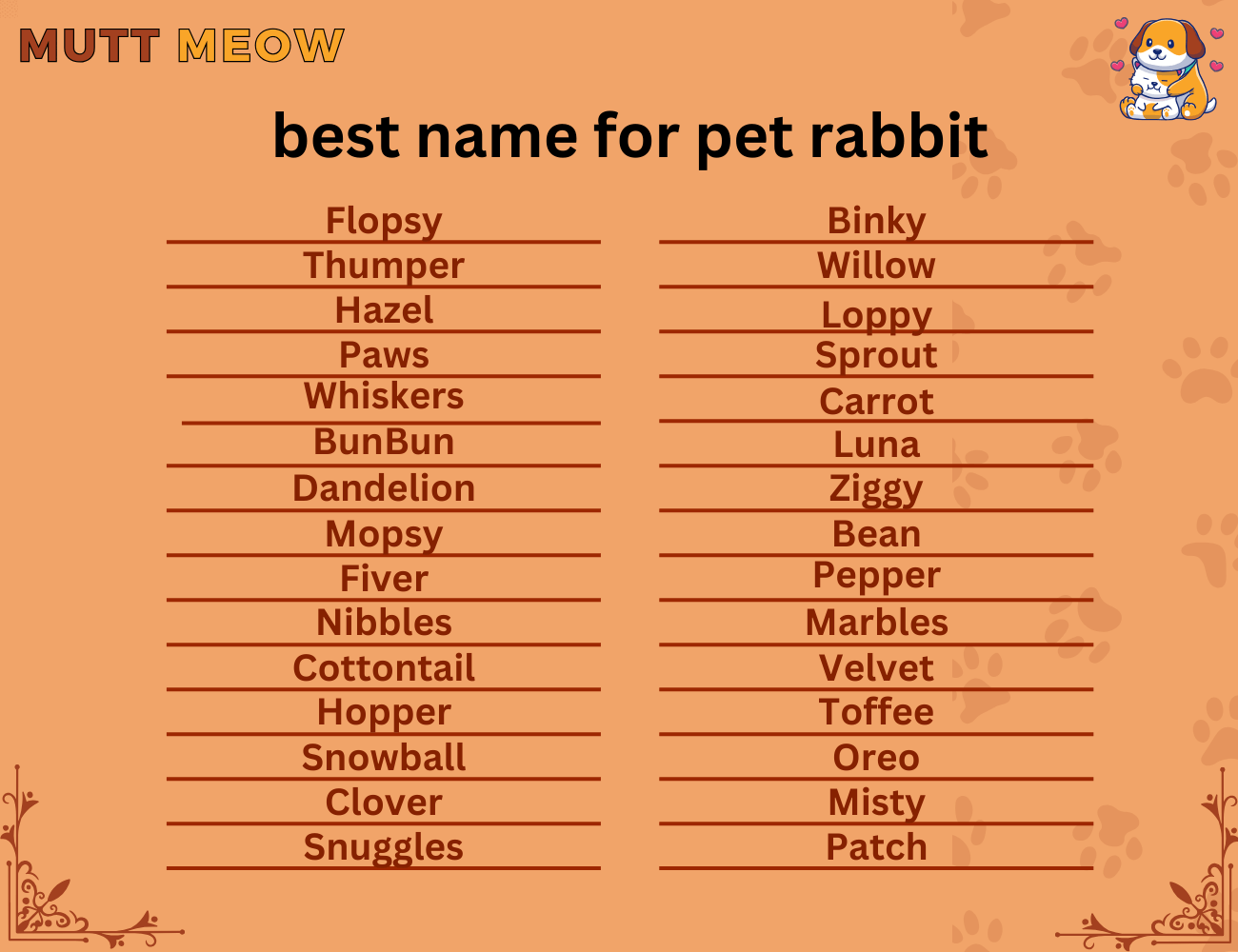 best name for pet rabbit