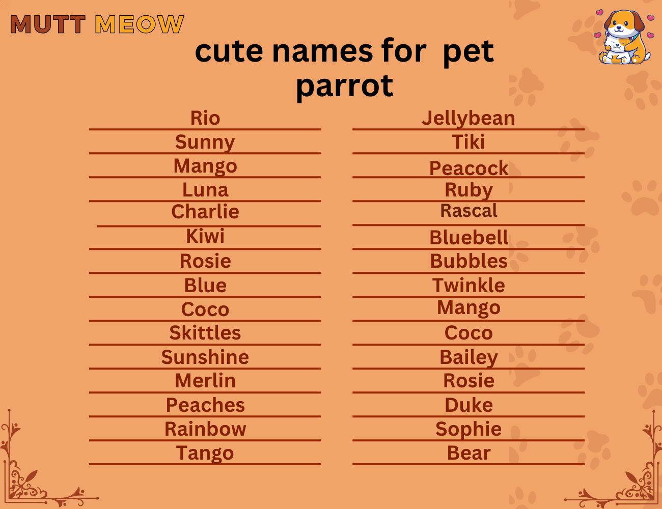 cute names for pet parrot
