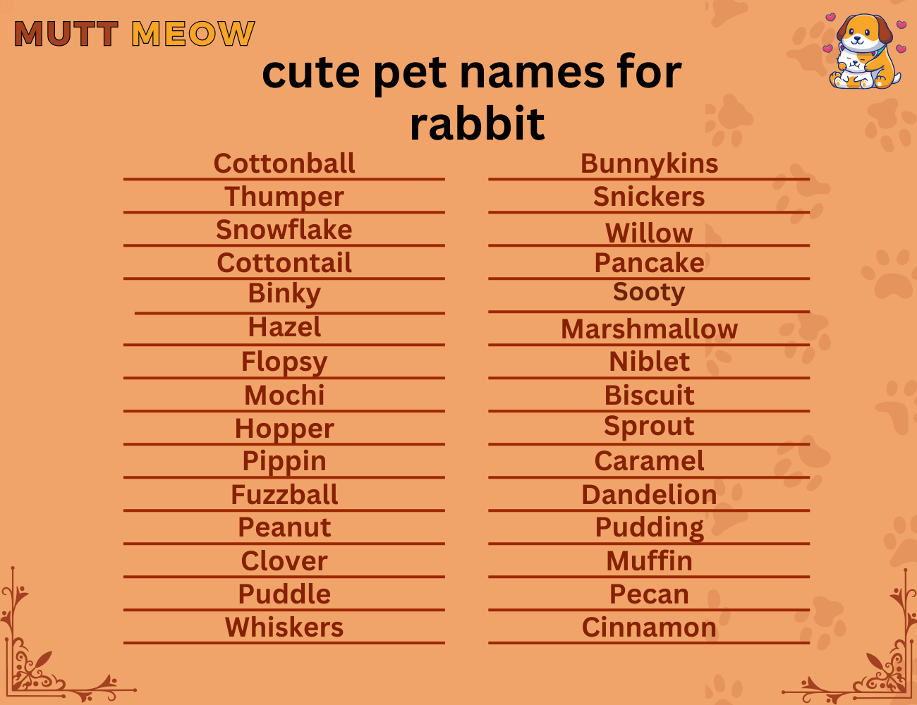 cute pet names for rabbit