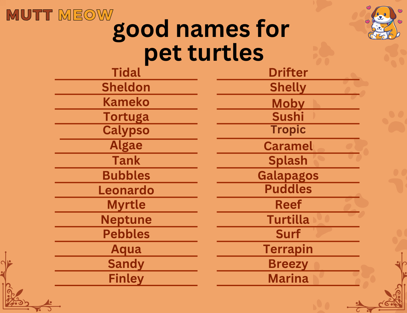good pet names for turtles