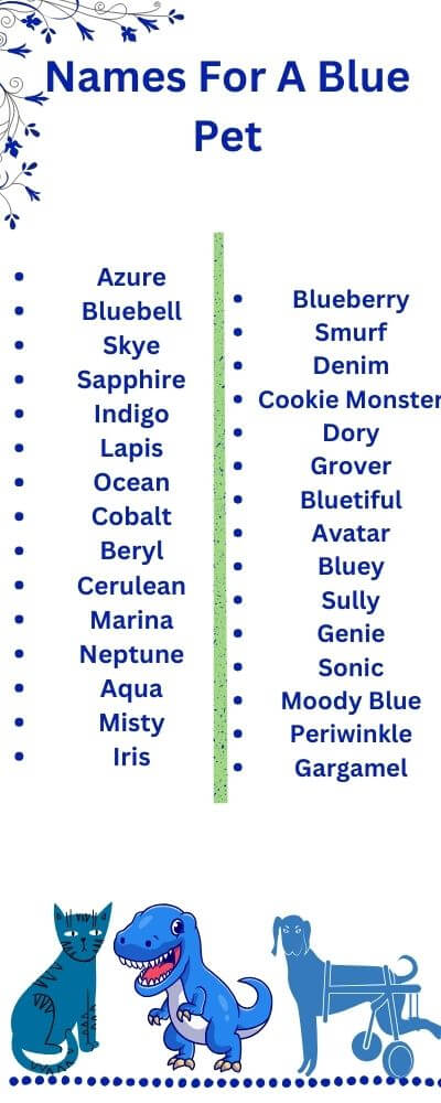 names for a blue pet
