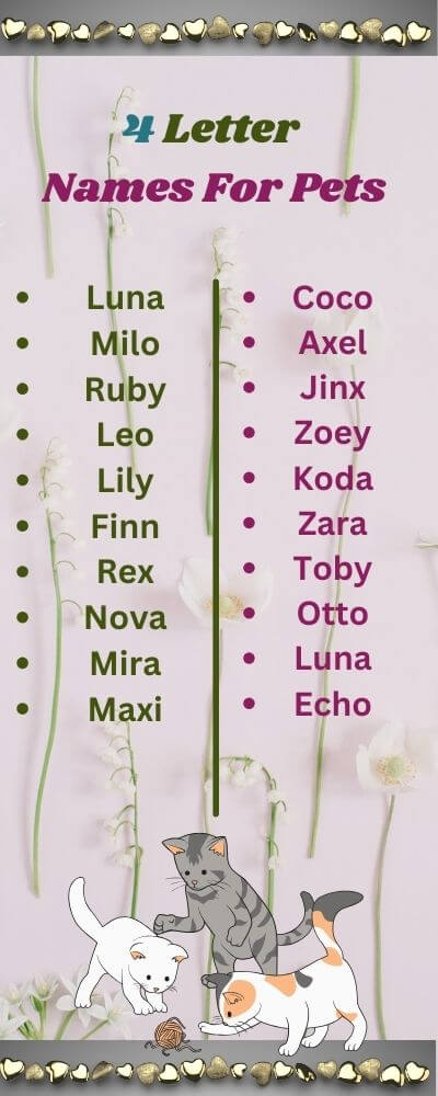 4 letter names for pets