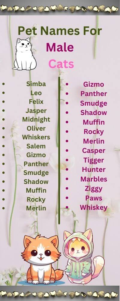 pet names for male cats