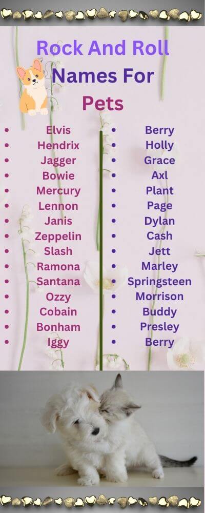 rock and roll names for pets
