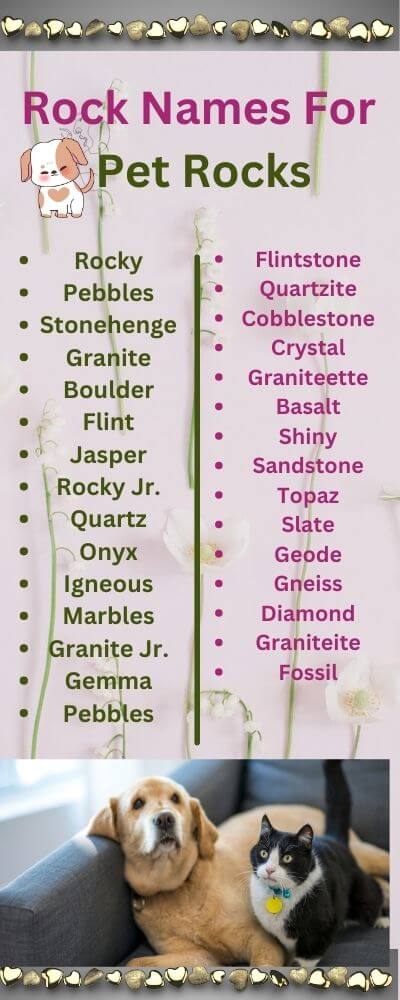 rock names for pet rocks
