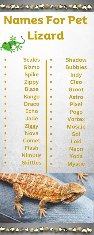 names for pet lizard
