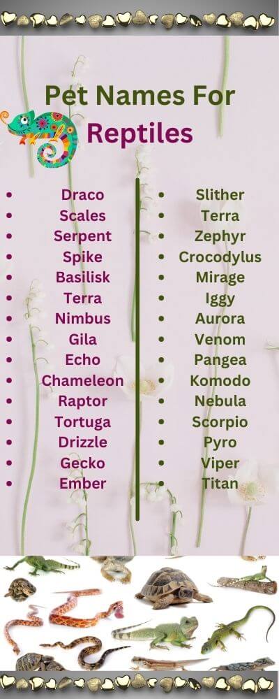 pet names for reptiles