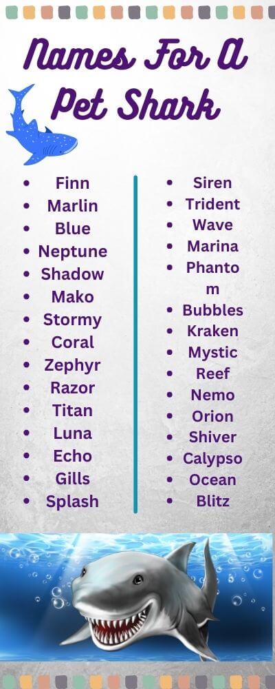 names for a pet shark