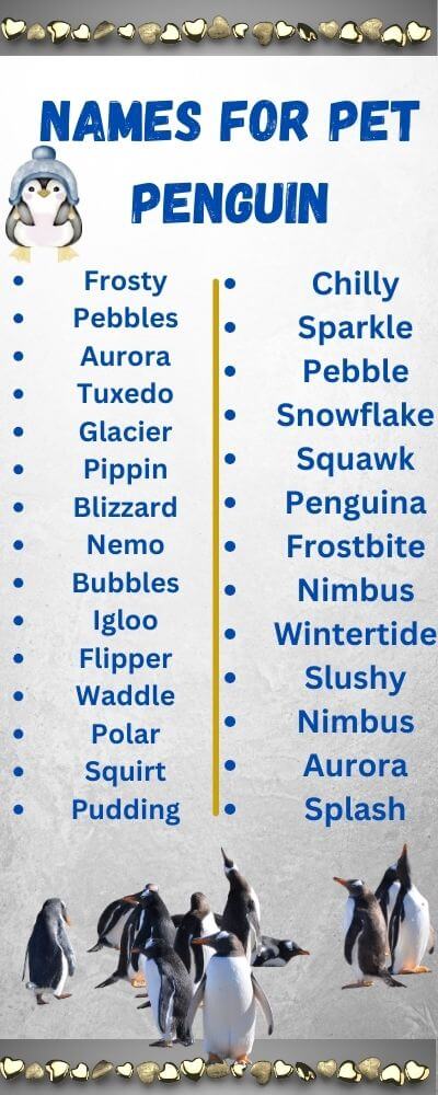 names for pet penguin
