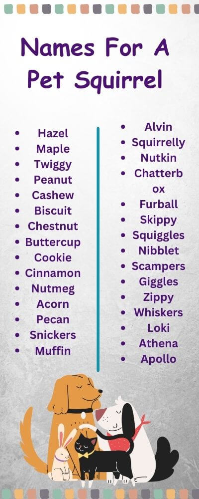 names for a pet squirrel