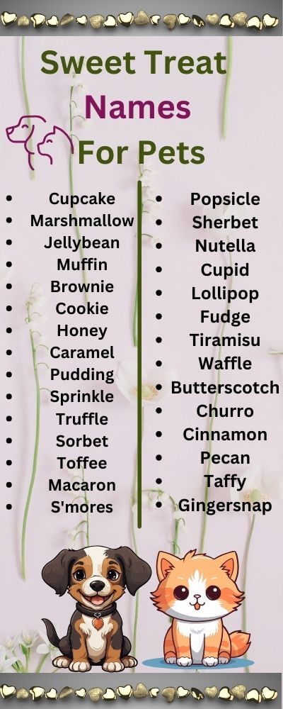 sweet treat names for pets